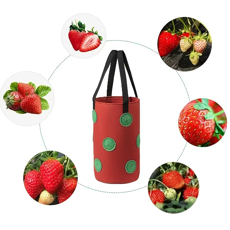 Multi-fonction 13 trous feutre suspendu tomate grandir sac planteur fraise légumes fleur plante crecer sacs jardin
