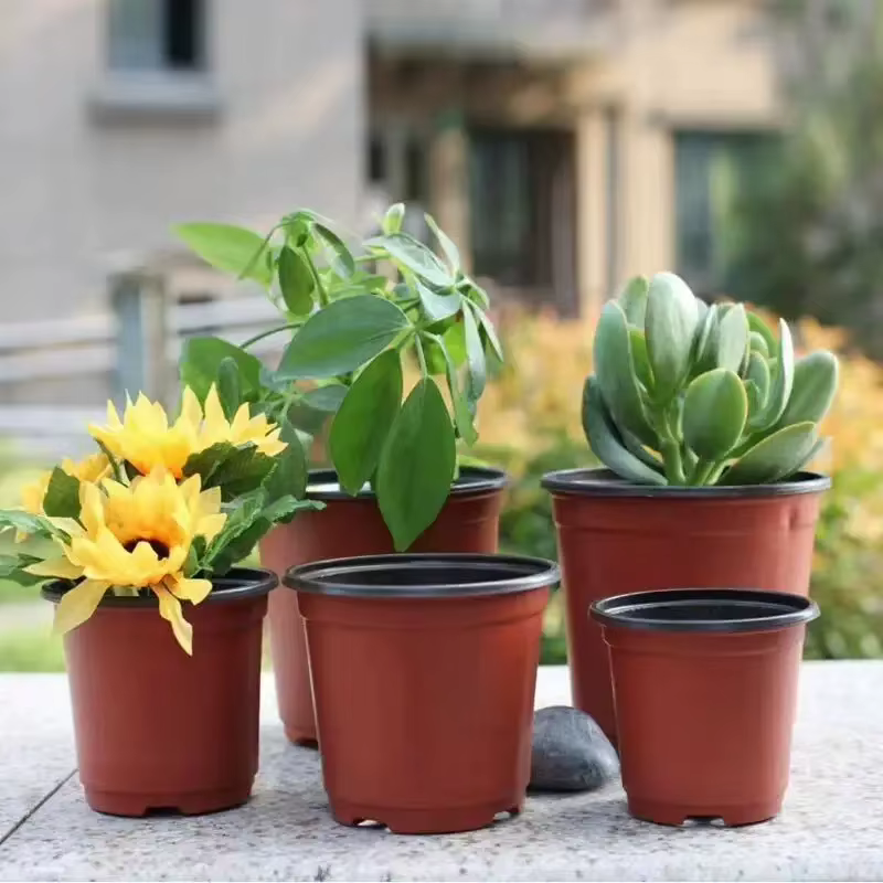 Pots de plantes en plastique avec étiquettes