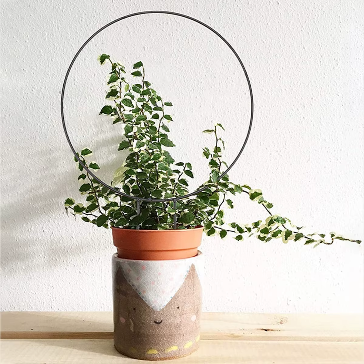Support de plante grimpante en fer pour plantes grimpantes