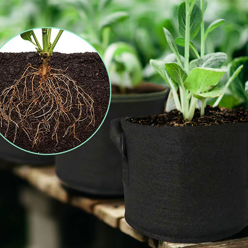 Sac de plantation en feutre pour pommes de terre
