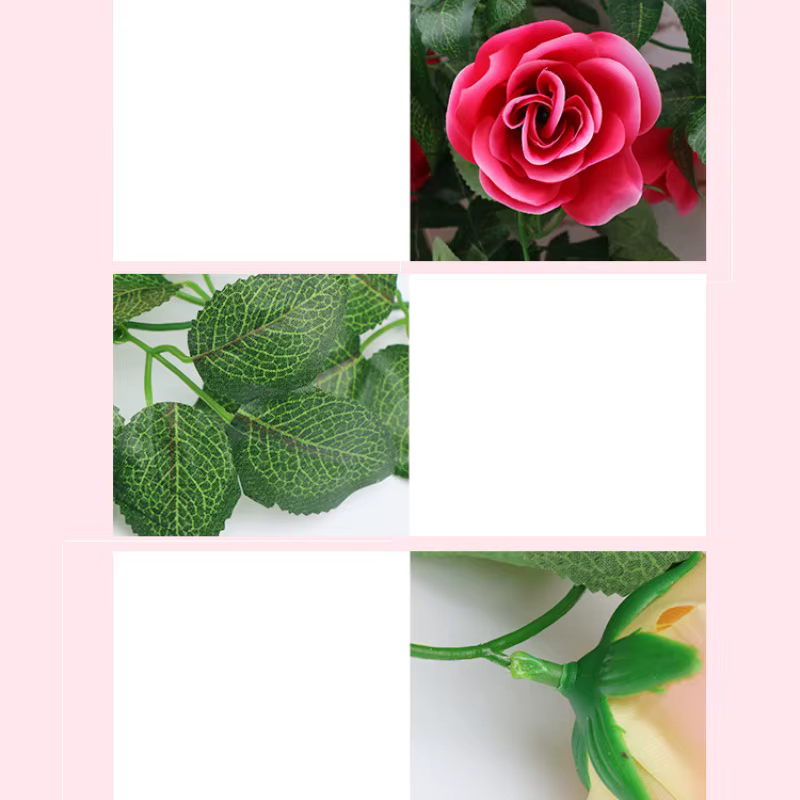 Simulation de fleurs de vignes