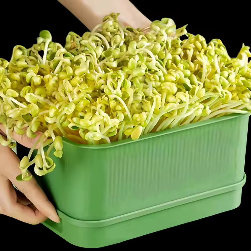 Pots de culture en plastique pour pépinière