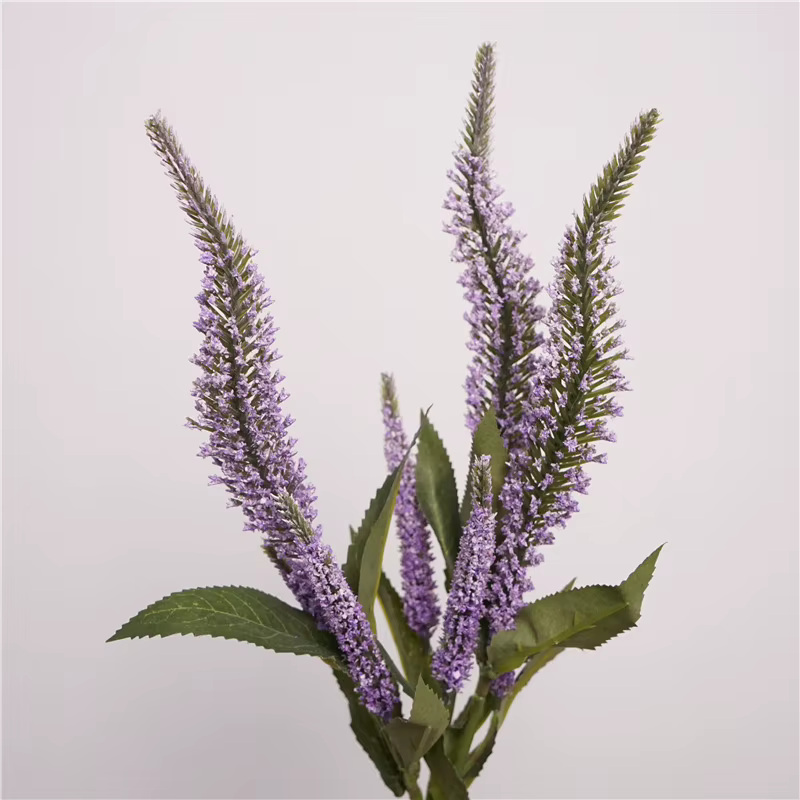 Bouquet de sauge à tige courte de 18