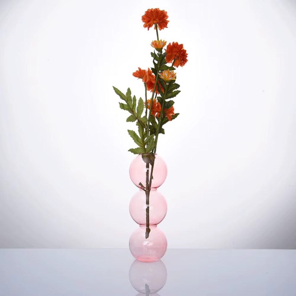 Vase à fleurs hydroponique en verre pour salle à manger