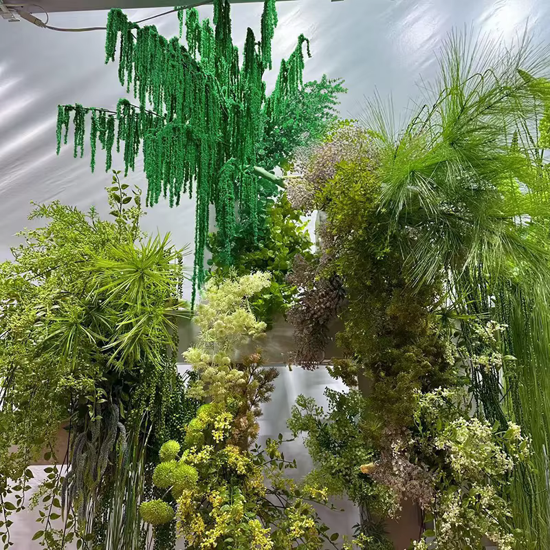 Simulation de plantes vertes