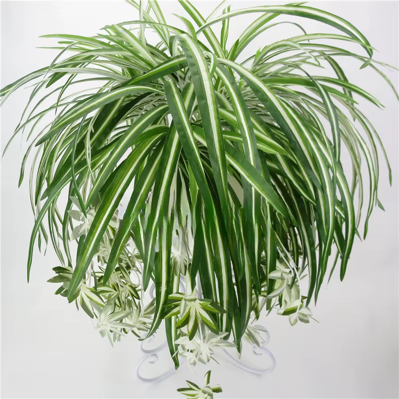 Plantes artificielles murales suspendues Chlorophytum