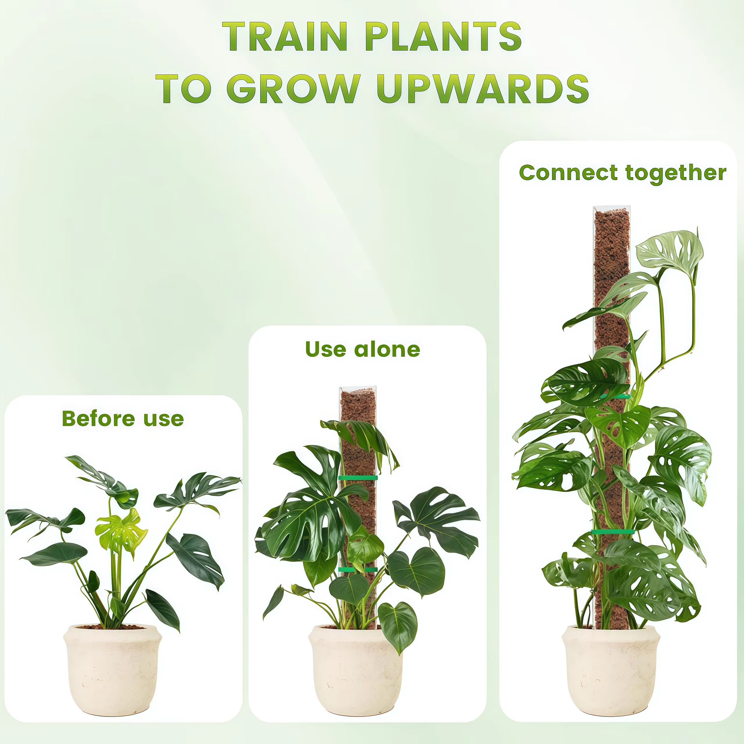 Support en plastique pour plantes grimpantes d'intérieur