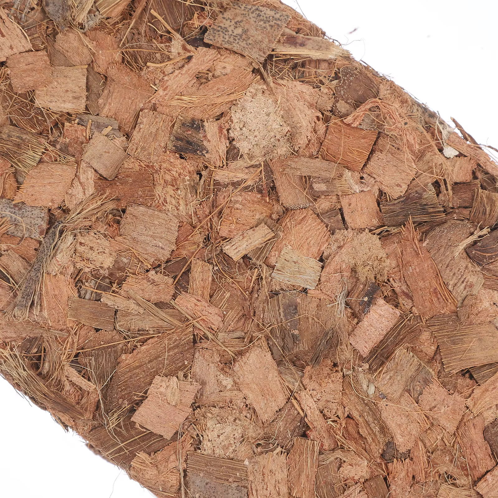 Bloc de terreau nutritif en fibre de coco pour pépinière