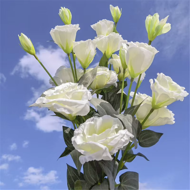 Eustoma Fleur Soie Floral