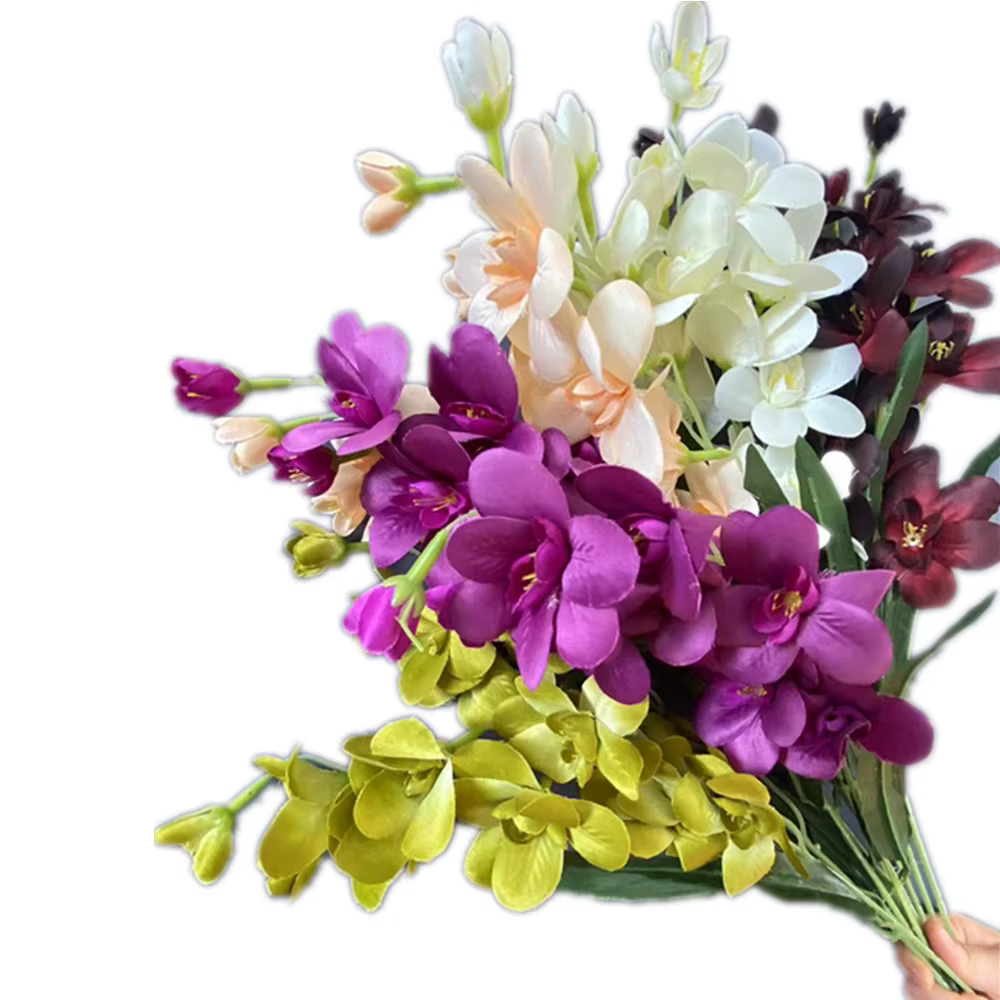 InjCattleya-Branche de fleur avec cuir chevelu vert