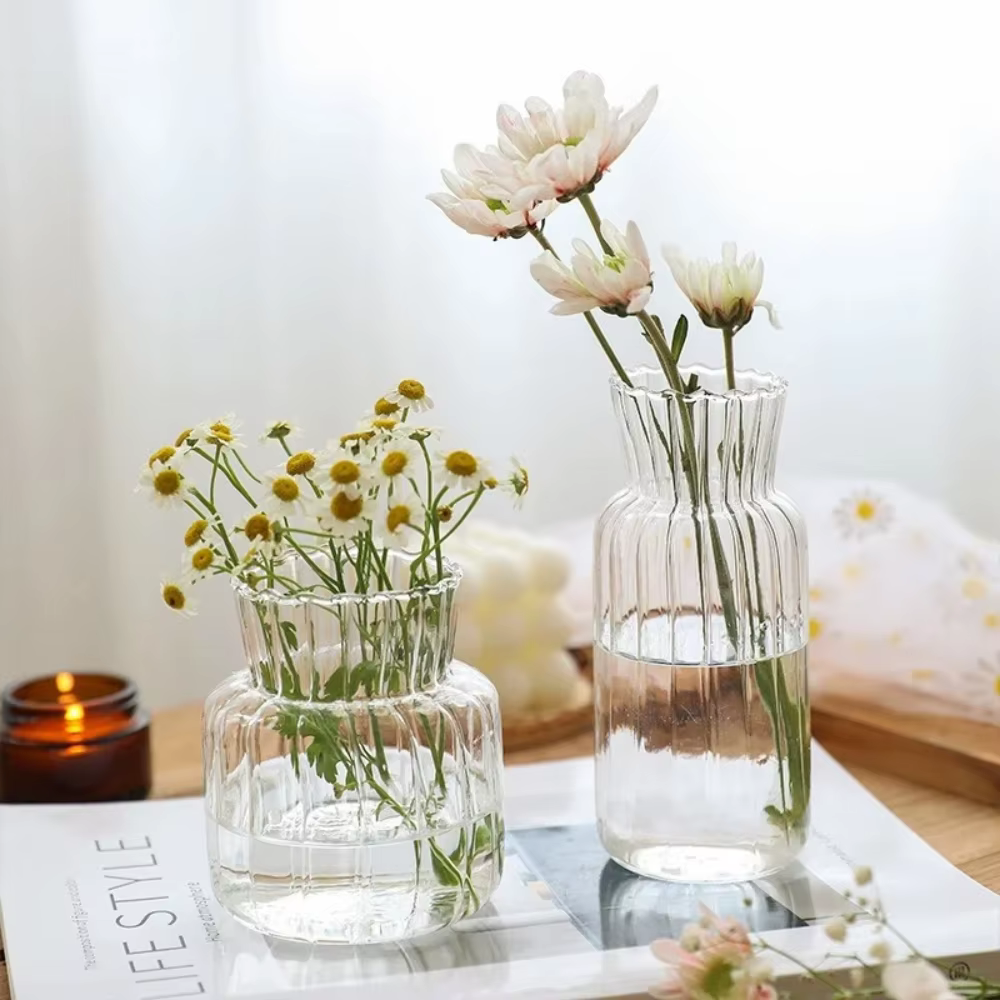 Vases transparents créatifs nordiques