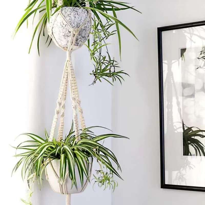 Cintres pour plantes en macramé