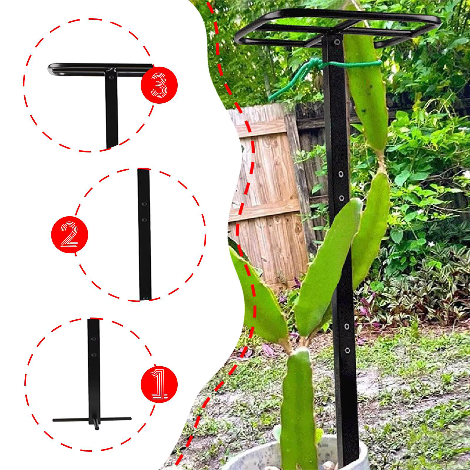 Treillis de fruits de Dragon polyvalent