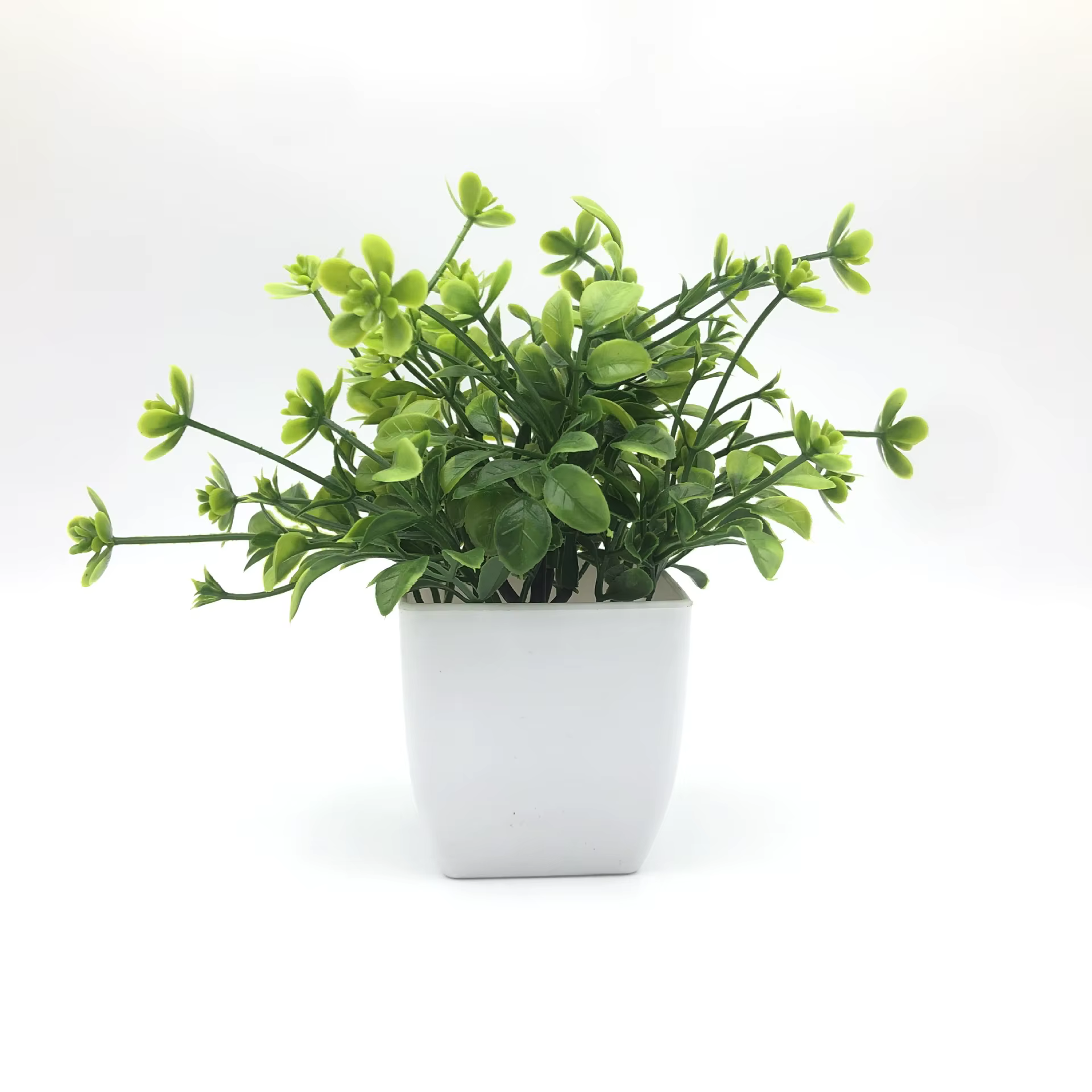 Simulation de plante verte
