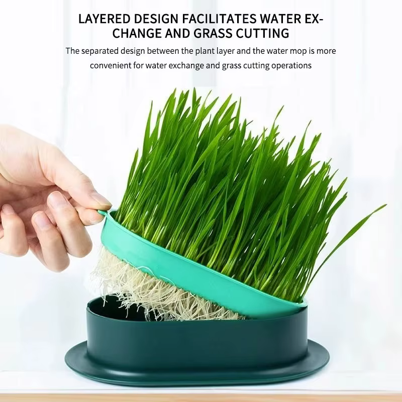 Nouveau plat de germination de chat de compagnie Pot de culture plante hydroponique