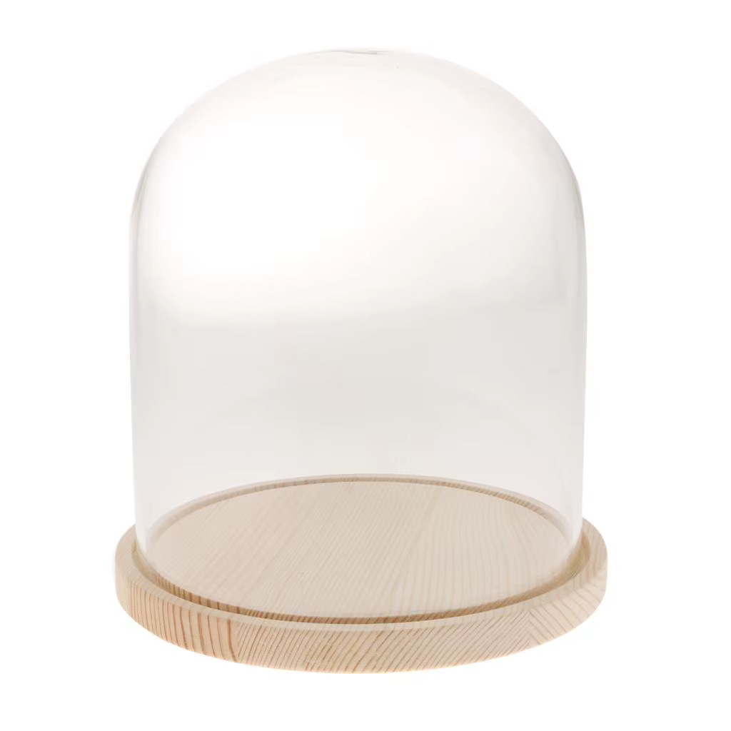 Pot en verre dôme avec Base en bois