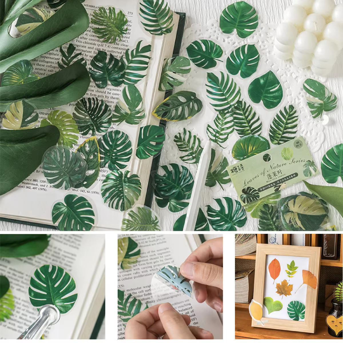 Autocollants transparents en PET pour plantes