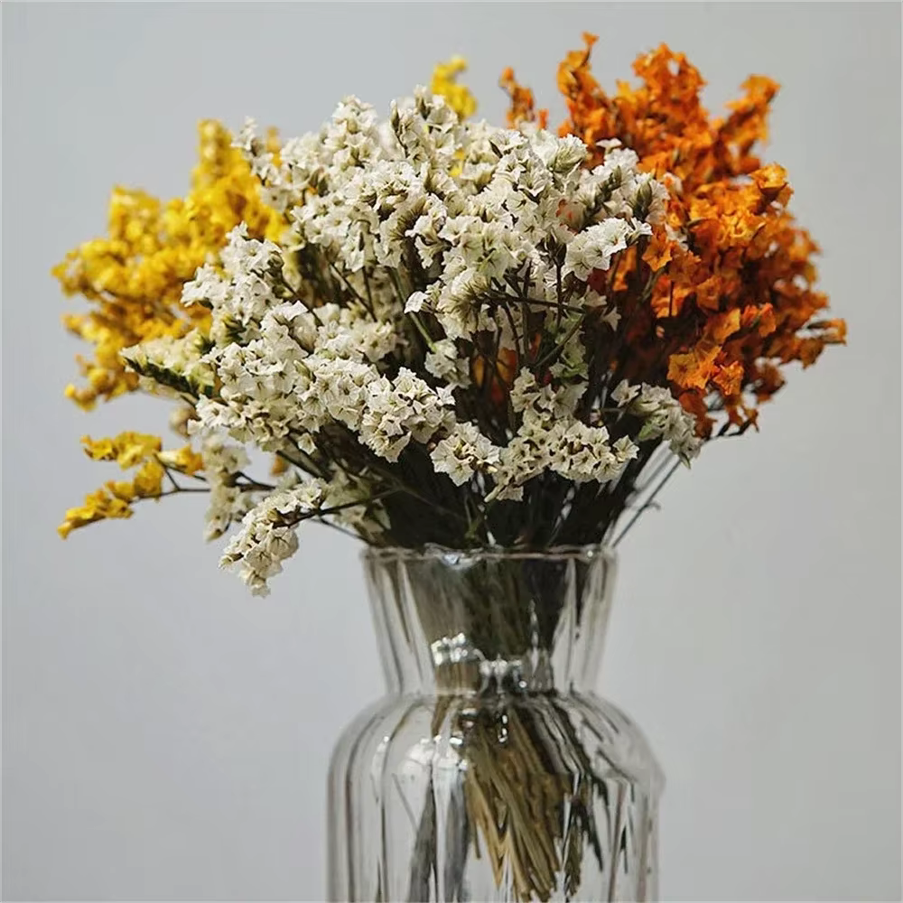 40-50cm, fleurs d'herbe en cristal séchées naturelles