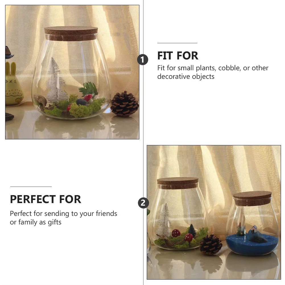 Bocaux de Terrarium en Verre avec Bouchon de Liège