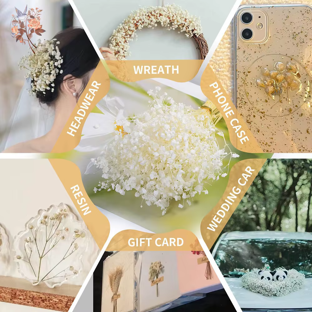 Mini-bouquet de 50 petites fleurs séchées de gypsophile blanches en vrac pour décoration rustique de maison