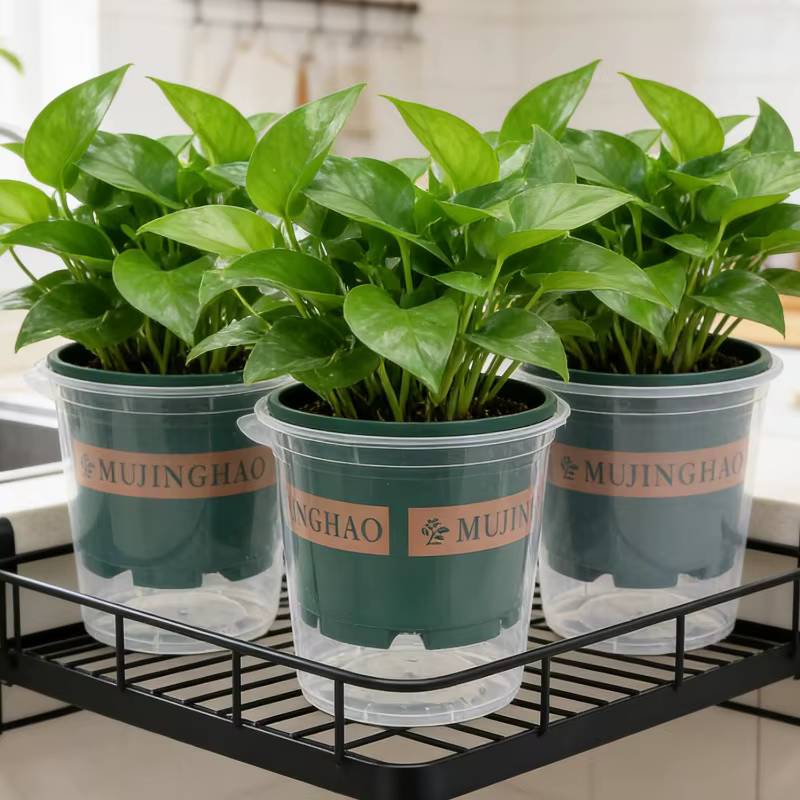 Pots de fleurs auto-arrosants pour personne pressée