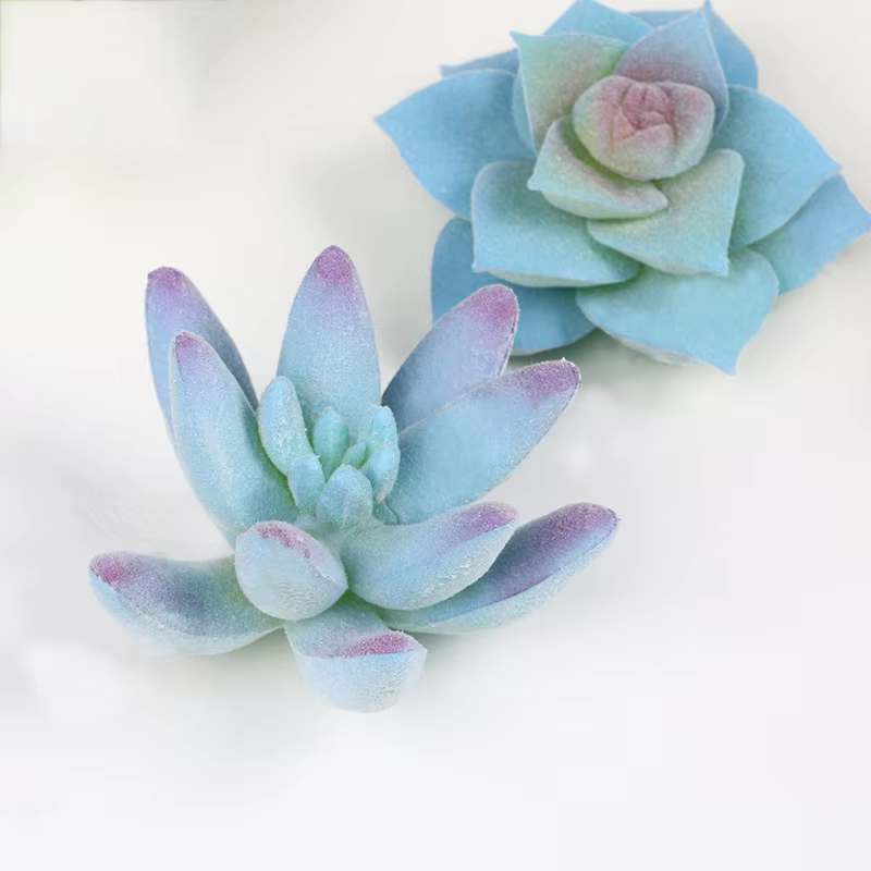 Plantes succulentes artificielles sans pot