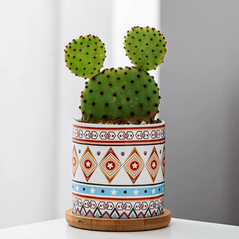 Pot de fleur en céramique géométrique circulaire