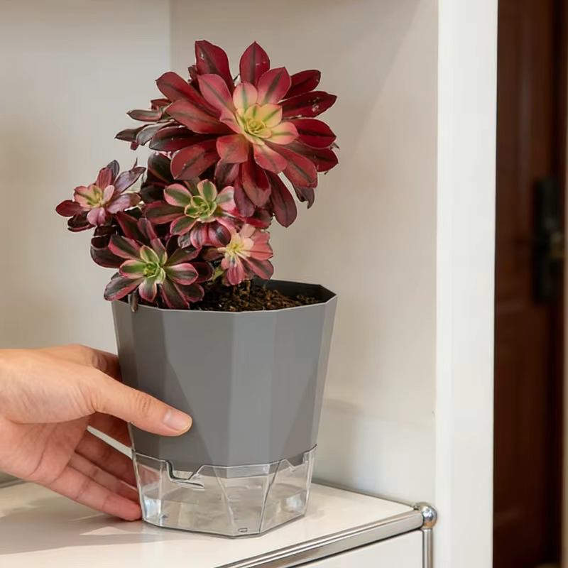 Pots de plantes auto-arrosants