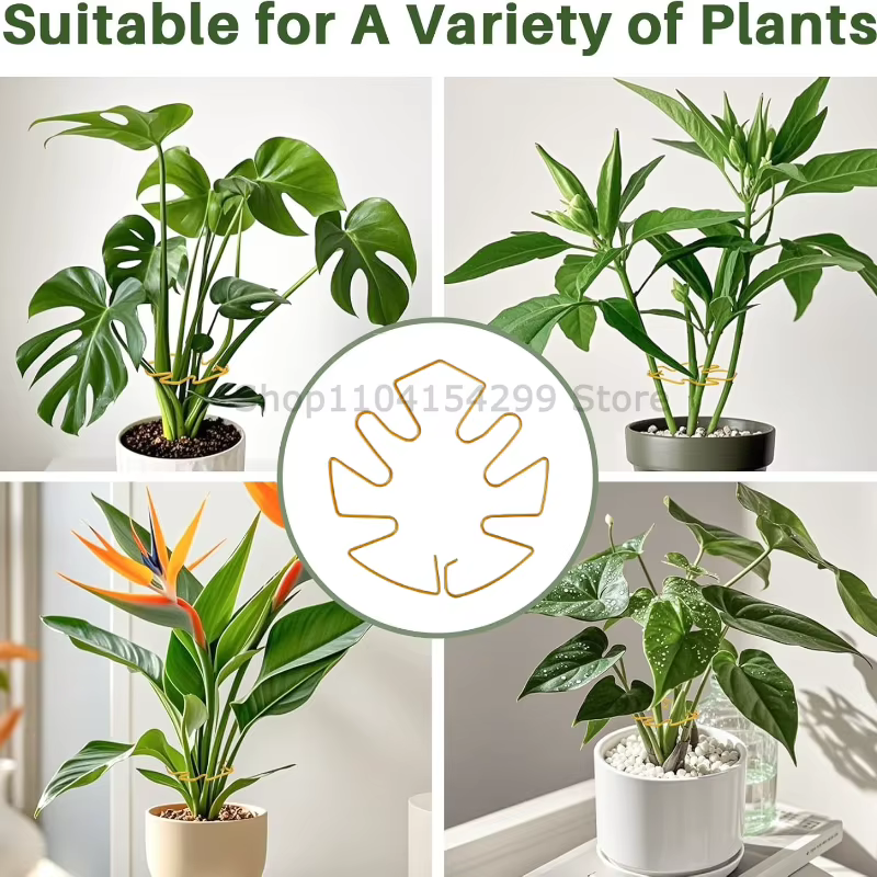Support robuste pour grande plante Monstera