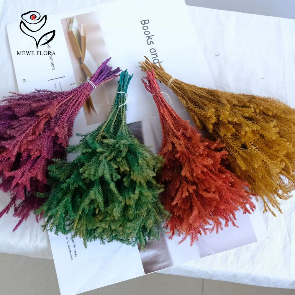 Lycopodium naturel séché pour la décoration de Noël