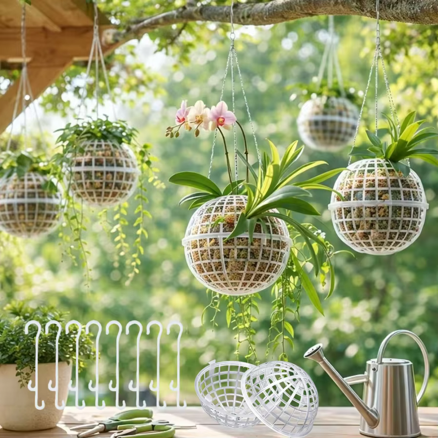 Ensemble de pots à fleurs en plastique à fixer au mur - spécialement conçus pour les orchidées succulentes et adaptés à la suspension comme pot de plante verte