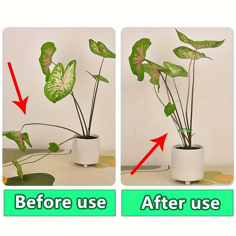 Support de tige de plante 2 pièces