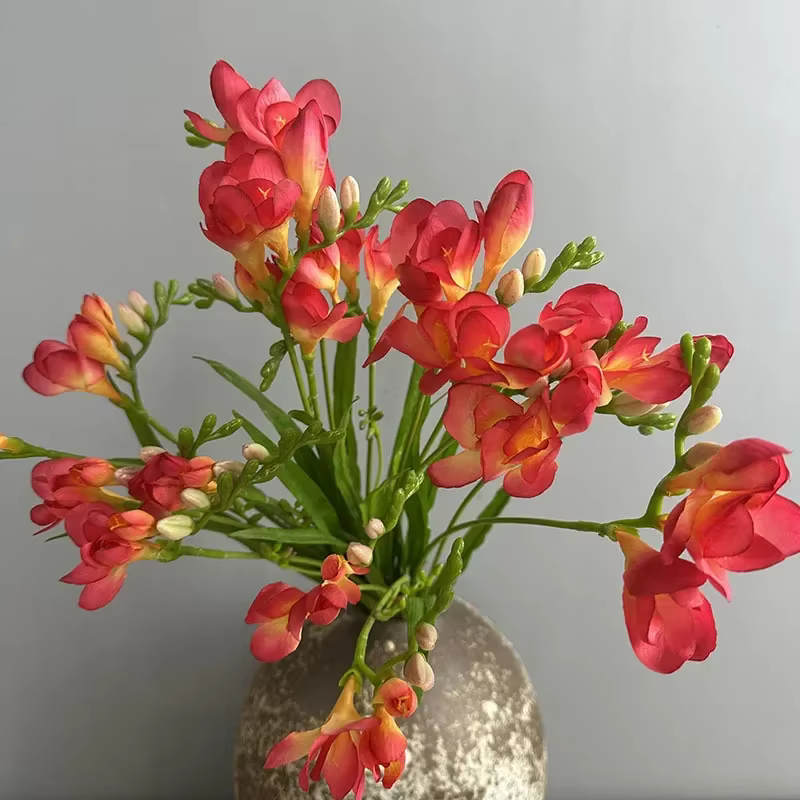 Simulation de Branches de Freesia