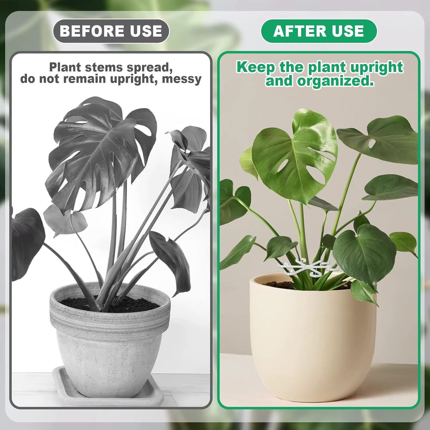 Poteau de Support anti-renversement pour plantes vertes