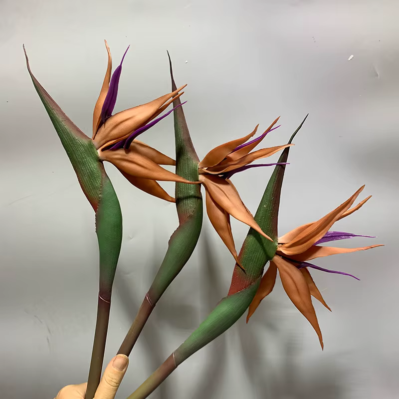 Les feuilles de bananier artificielles et les oiseaux du paradis conviennent aux décorations de maison