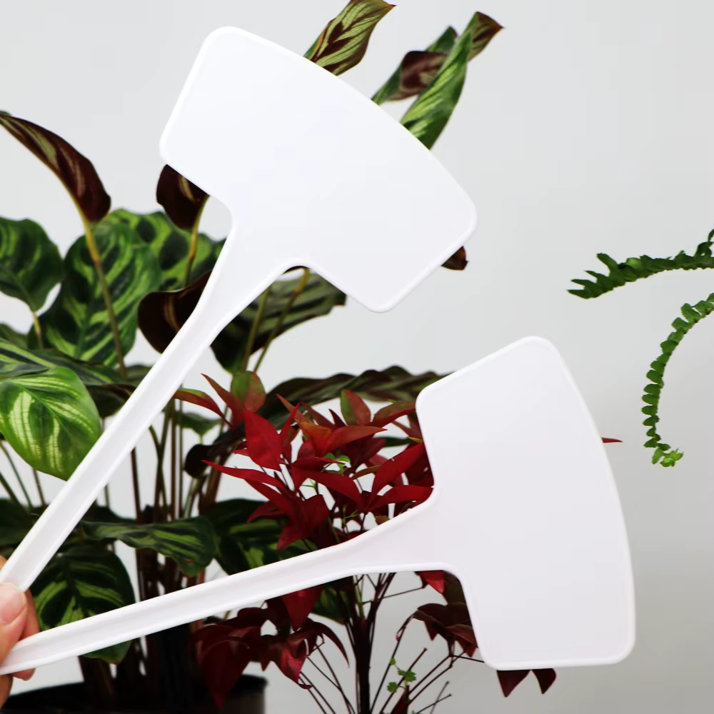 Étiquettes de plantes blanches de type T