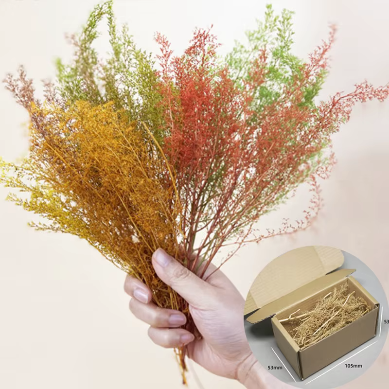 Kit de modèle d'herbe sèche