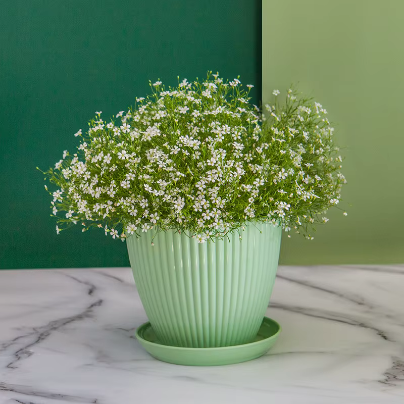 Pot de fleur rond jardinières succulentes Pot de plante avec plateau bureau balcon maison jardin décoration extérieur en Pot 5 tailles