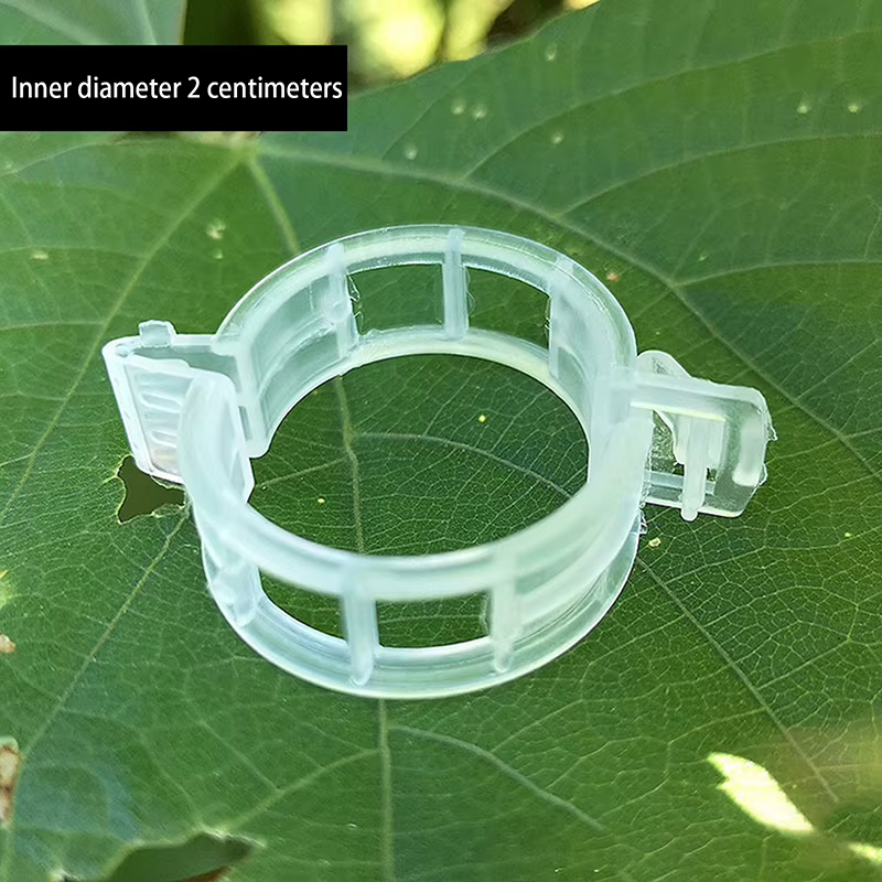 100 pinces de fixation en plastique sécurisées pour plantes