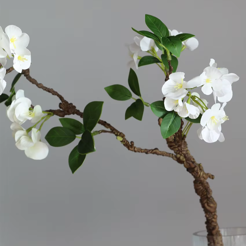 Nouvelle brindille d'arbre flétri