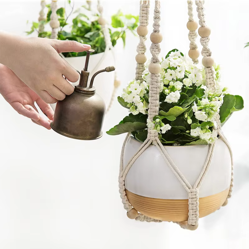 Paniers suspendus pour plantes de jardinage