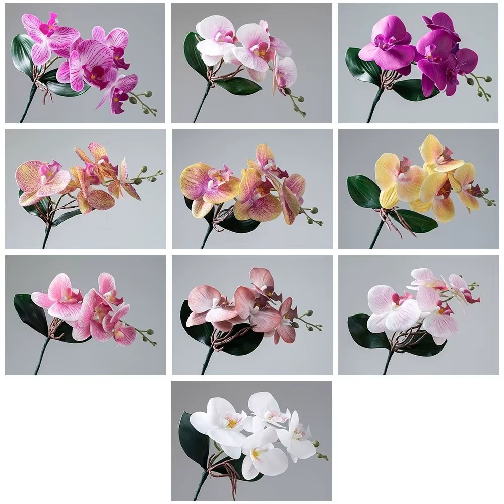 Orchidées Phalaenopsis artificielles réalistes en tissu