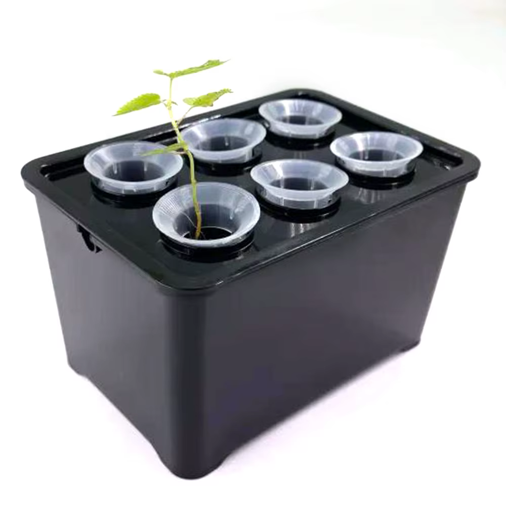 Système de culture hydroponique blanc/noir, boîte hydroponique, Pot de pépinière à 6 trous pour plantes d'intérieur de jardin, jardinière de culture végétale sans sol