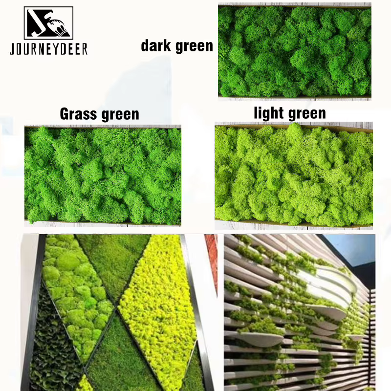 Mousse naturelle verte plante artificielle 200g