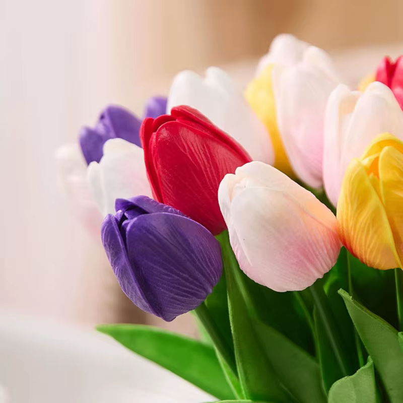 1/5/10/15 pièces tulipes fleurs artificielles vraies