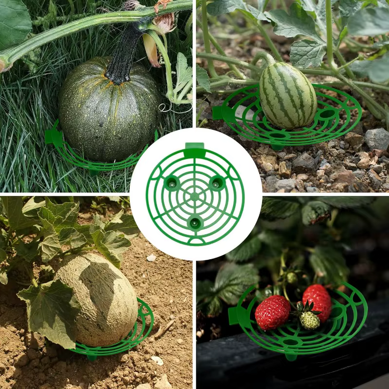 Supports de plantes pour melons