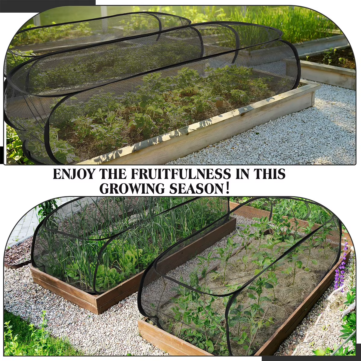 Filet de protection pour plantes