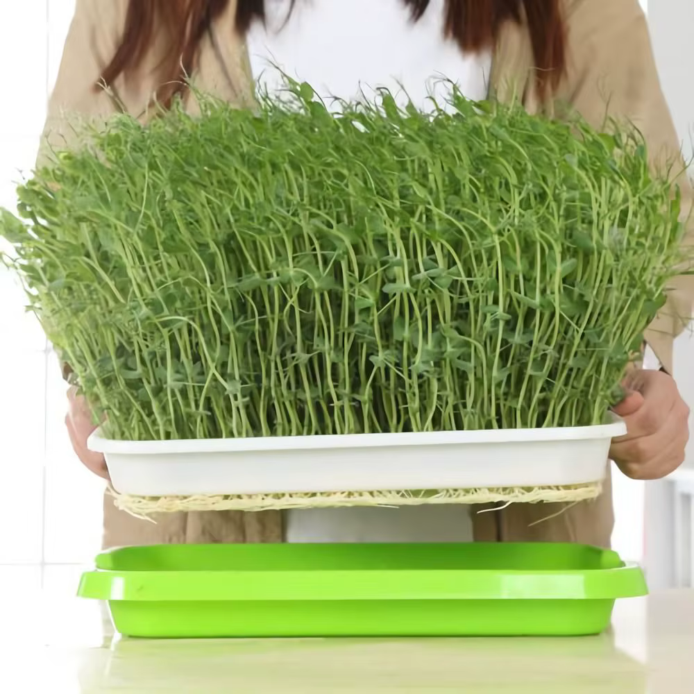 Fournitures de jardinage
