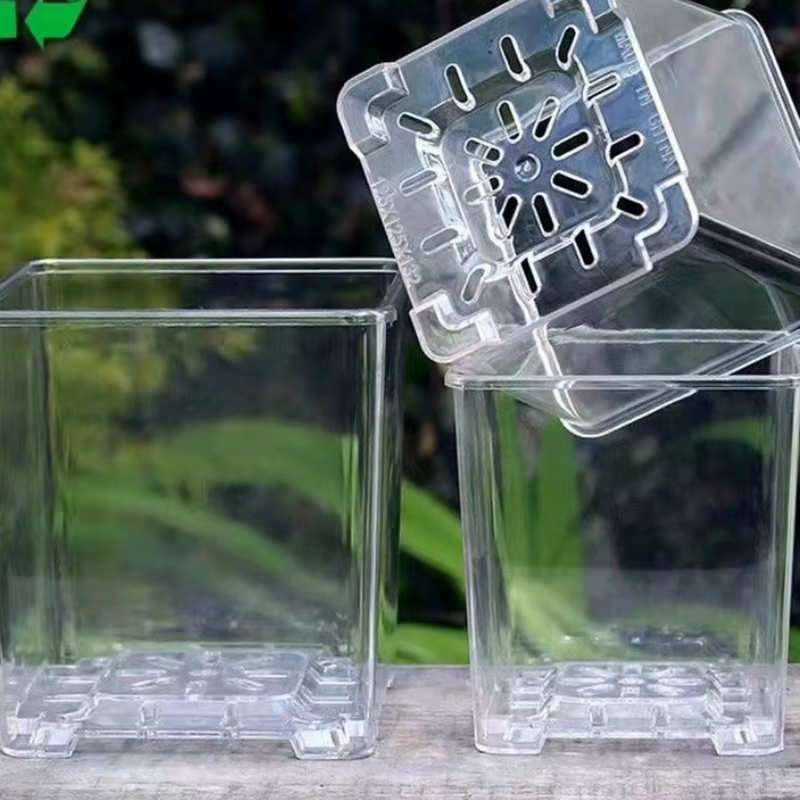 Pot de fleur Transparent