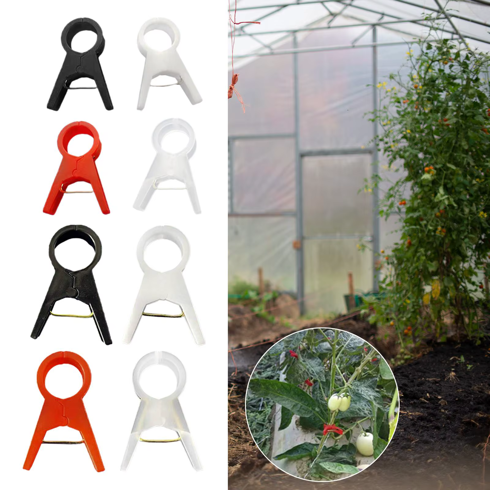 Clips pour plantes, 100 pièces, support pour tomate, vigne, concombre, fleur